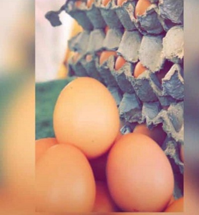 Egg